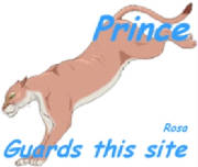 prince2.jpg