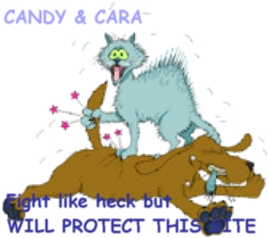 candyncara.jpg