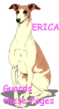 erica.jpg