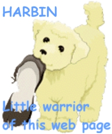 harbin.jpg